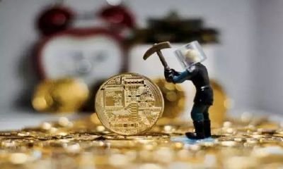 A modern mining farm in India with rows of ASIC miners