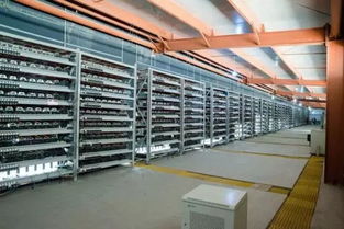 A group of miners inspecting their mining rigs in a hosting facility.