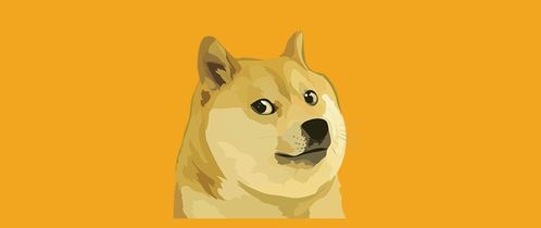 Dogecoin mining setup
